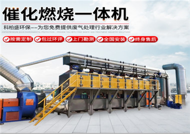 RCO蓄熱式/催（cuī）化燃燒（shāo）設備
